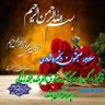 محمد ابوترابی's profile picture