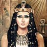 هبه محمد's profile picture
