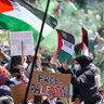 Profilbild von Action for Palestine USA