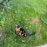 Nur profil fotoğrafı