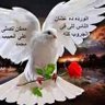 Ali Abbas 的头像
