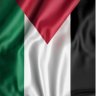 Anticapitalista 📵#QRWeigeraar ✊🇨🇺✊🇵🇸 的头像