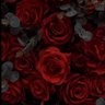 Фото профиля Tr.Hana Alnofaie