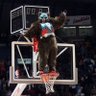 Фото профиля NBA Off the Whistle