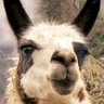 Eric Stearns's profile picture