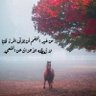 نافل الفضل 💙🤍 的头像
