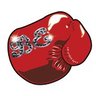 Boxing Evolution's profile picture