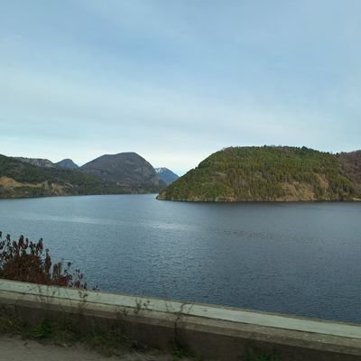 MdelC2's profile picture