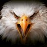 🦅 profil fotoğrafı