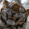 Profilbild von gagignho