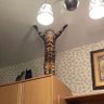 Co profil fotoğrafı