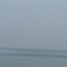 秋池's profile picture