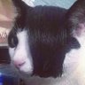 Profilbild von Denis