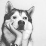 DaiWang's profile picture