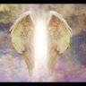 Фото профиля Sara