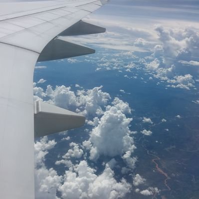 HNTsin22's profile picture
