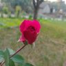 Фото профиля gs