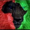 Majid NAJIH's profile picture