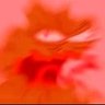 DeeMack's profile picture