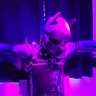 FlareFox - ⬢-Drone 7985 🎩 的头像