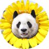 Profilbild von Sasmile