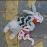 Road kill's profile picture