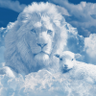 Favorable Mortal's profile picture