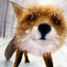 cio' profil fotoğrafı
