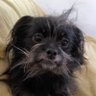 Maisy&Me profil fotoğrafı