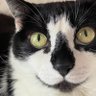 Mermd profil fotoğrafı
