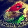 Profilbild von Sarokm