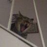 Profilbild von caroline 