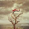 طارق يمر اسمك على بالي 的头像