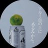 Profilbild von 𝕏 アルミ缶の上にあるミカン 𝕏