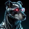Profilbild von dogecion.bit