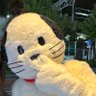 猫ガチャ profil fotoğrafı