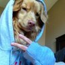 Ghost's profile picture