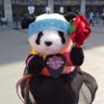 Profilbild von âšYoko (*^_^*) v âšð