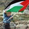 نجيب الضبه 的头像