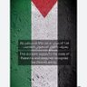 Abdalaziz Alsonbaty's profile picture
