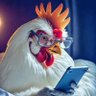 Sherryshenzy profil fotoğrafı