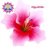 Shubyathra's profile picture