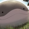 Siggi's profile picture