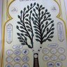 Фото профиля ahmed M alnami