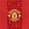 Official Manchester United VN's profile picture