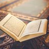 نور الاسلام's profile picture