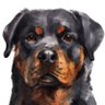 .i. Grone's profile picture