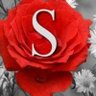 SAYKAÇ's profile picture