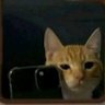 jan's profile picture