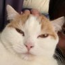 ぽんた's profile picture